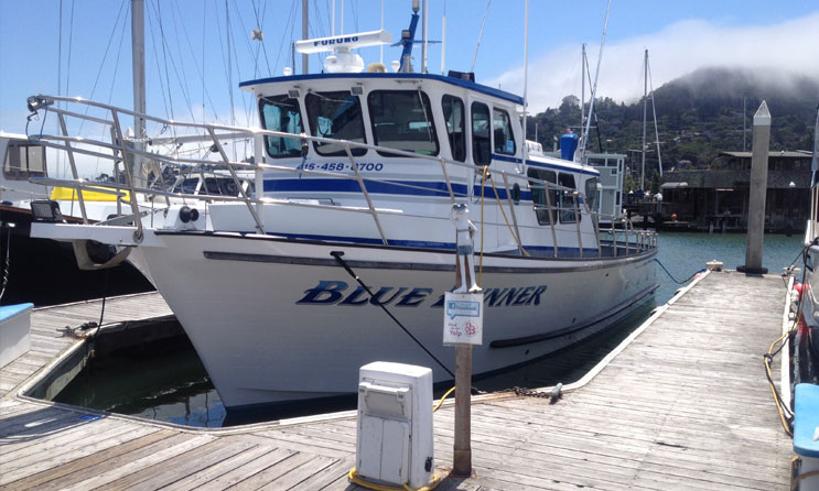 Blue Runner Sport Fishing