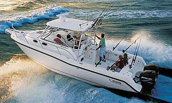 Cape Cod Bay Fishing Charters